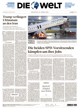 DIE WELT